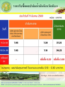 ราคารับซื้อผลปาล์มน้ำมันจังหวัดพังงา