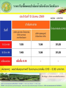 ราคารับซื้อผลปาล์มน้ำมันจังหวัดพังงา