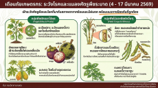 เตือนภัยการเกษตรเฝ้าระวังโรคและศัตรูพืช