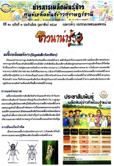 ประชาสัมพันธ์ข่าวสารเมล็ดพันธุ์ข้าง