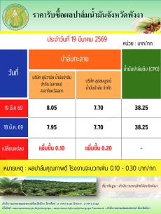 ราคารับซื้อผลปาล์มน้ำมันจังหวัดพังงา