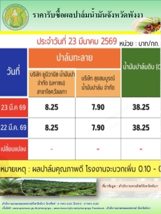 ราคารับซื้อผลปาล์มน้ำมันจังหวัดพังงา