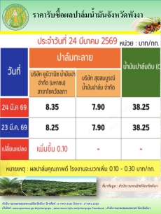 ราคารับซื้อผลปาล์มน้ำมันจังหวัดพังงา
