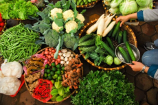 2025年泰国粮食安全状况揭晓：处于良好水平