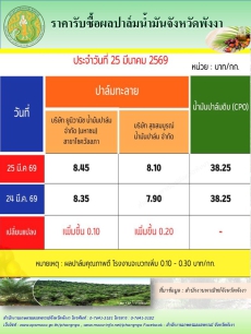 ราคารับซื้อผลปาล์มน้ำมันจังหวัดพังงา