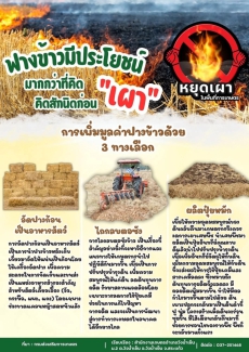 ฝางข้าวมีประโยชน์กว่าที่คิด ไม่เผา