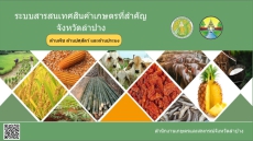 ระบบสารสนเทศสินค้าเกษตรที่สำคัญ
