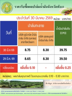 ราคารับซื้อผลปาล์มน้ำมันจังหวัดพังงา