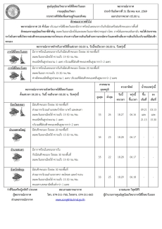 พยากรณ์อากาศ ประจำวัน 31 มีนาคม 2569