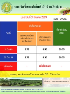 ราคารับซื้อผลปาล์มน้ำมันจังหวัดพังงา