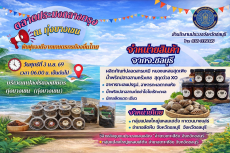 เชิญชวนเที่ยวตลาดประมงกลางกรุง