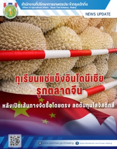 ทุเรียนแช่แข็งอินโดนีเซียรุกตลาดจีน