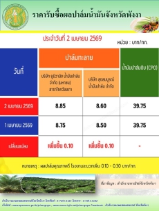 ราคารับซื้อผลปาล์มน้ำมันจังหวัดพังงา