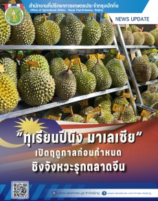 “ทุเรียนปีนัง”มาเลเซียเปิดฤดูกาลก่อนกำหนด