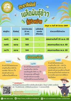 เมล็ดพันธุ์ข้าวที่มีจำหน่าย ข้อมูล ณ วันที่ 30 มีนาคม 2569