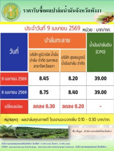 ราคารับซื้อผลปาล์มน้ำมันจังหวัดพังงา