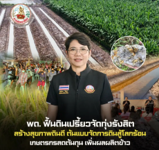กรมพัฒนาที่ดินฟื้นดินเปรี้ยวจัดทุ่งรังสิต
