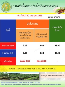 ราคารับซื้อผลปาล์มน้ำมันจังหวัดพังงา