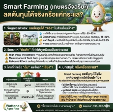 Smart Farming (เกษตรอัจฉริยะ) ลดต้นทุนได้จริงหรือแค่กระแส
