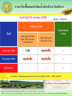 ราคารับซื้อผลปาล์มน้ำมันจังหวัดพังงา