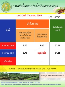 ราคารับซื้อผลปาล์มน้ำมันจังหวัดพังงา