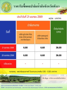 ราคารับซื้อผลปาล์มน้ำมันจังหวัดพังงา