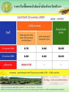 ราคารับซื้อผลปาล์มน้ำมันจังหวัดพังงา