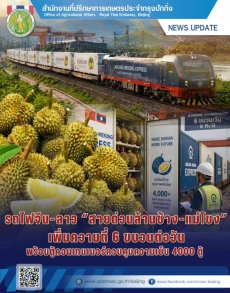 ทุเรียนจำนวนมากขนส่งเข้าสู่ประเทศจีน