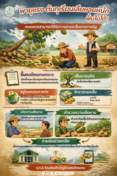 พายุแรงต้นทุเรียนเสียหายหนัก