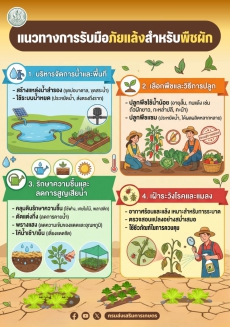 แนวทางการรับมือภัยแล้งสำหรับพืชผัก