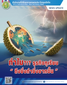 บทวิเคราะห์“ทำไมธุรกิจทุเรียนถึงยิ่งทำยิ่งยากขึ้น”
