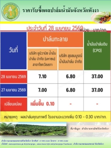 ราคารับซื้อผลปาล์มน้ำมันจังหวัดพังงา