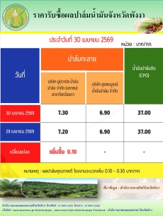 ราคารับซื้อผลปาล์มน้ำมันจังหวัดพังงา