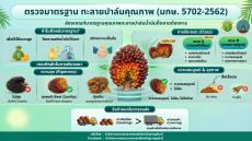 มาตรฐานทะลายปาล์มคุณภาพ (มกษ.5702-2562)