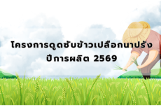 โครงการดูดซับข้าวเปลือกนาปรัง ปีการผลิต 2569