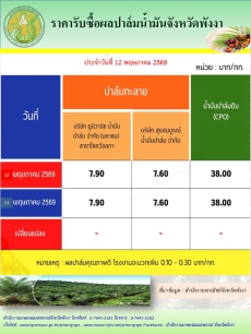 ราคารับซื้อผลปาล์มน้ำมันจังหวัดพังงา