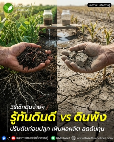 วิธีเช็กดินง่ายๆ“รู้ทันดินดีVSดินพัง”