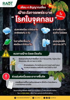 ฝนมา...เตรียมเฝ้าระวัง โรคใบจุดกลม ในสวนยาง