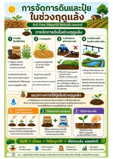 เเนวทางการจัดการดินเเละปุ๋ยในช่วงเเล้ง