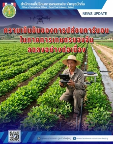 ความเข้มข้นการปล่อยคาร์บอนภาคการเกษตรของจีนลดลงอย่างต่อเนื่อง