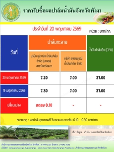 ราคารับซื้อผลปาล์มน้ำมันจังหวัดพังงา