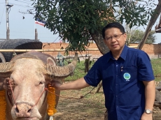 ร่วมกิจกรรมวันอนุรักษ์ควายไทย ประจำปี 2569