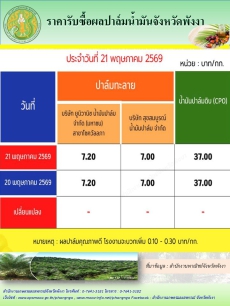 ราคารับซื้อผลปาล์มน้ำมันจังหวัดพังงา