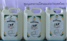 กยท.หนุนแปรรูปน้ำนมดิบล้นตลาด
