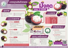มังคุดคุณภาพต้องได้มาตรฐานรู้หรือไม่?