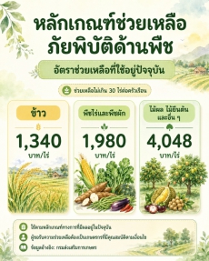พืชเสียหายจากภัยพิบัติ