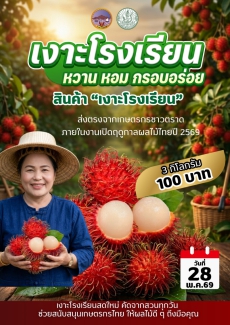 เปิดฤดูกาลทุเรียนและผลไม้ไทย 2569