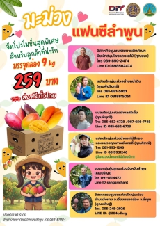 จังหวัดลำพูนเชิญชวนสั่งซื้อมะม่วงแฟนซีลำพูน