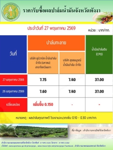 ราคารับซื้อผลปาล์มน้ำมันจังหวัดพังงา