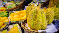 Thailand fruit exports rebound 17.9% in April as durian surges 109%
